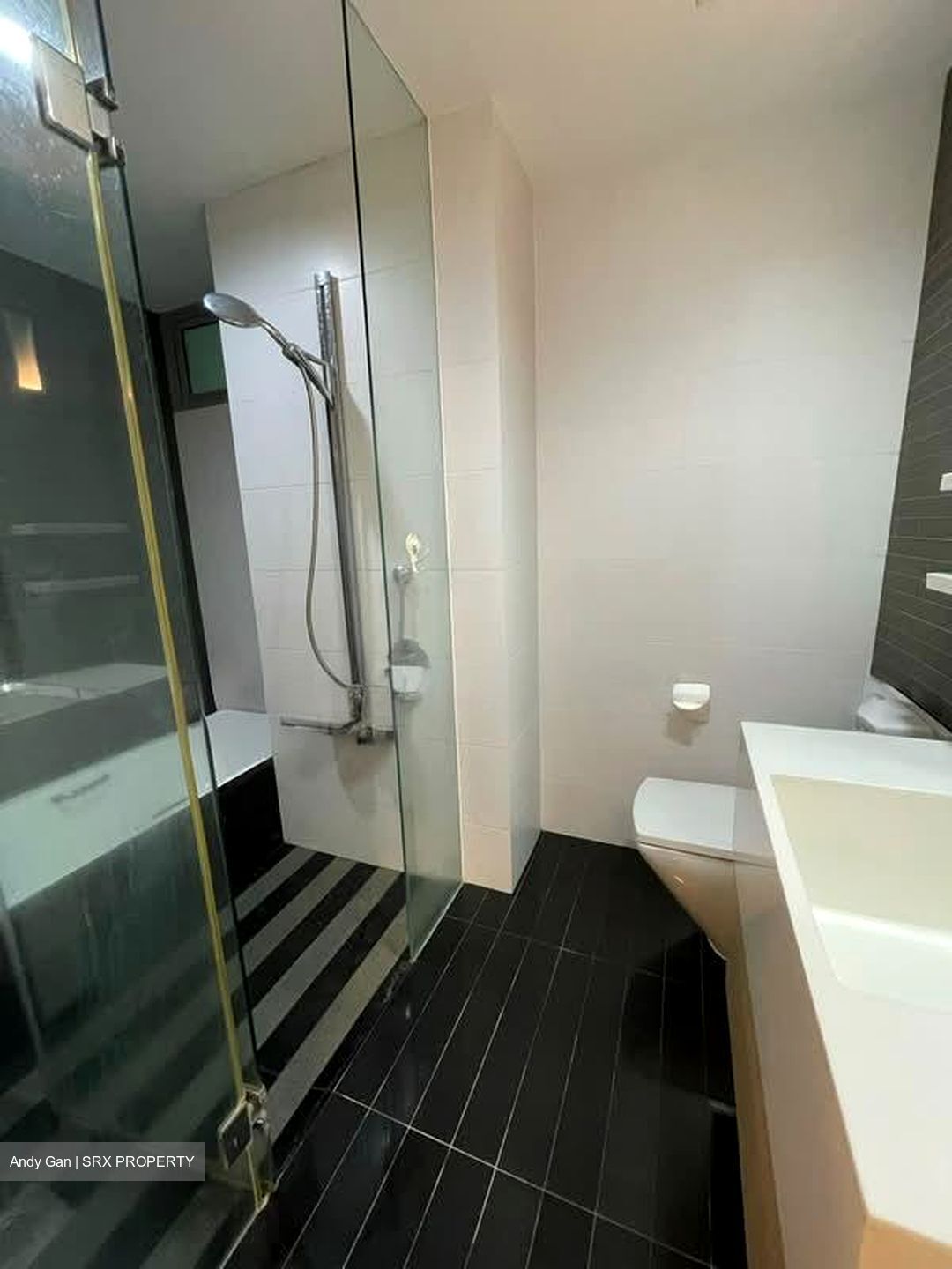 Park Infinia At Wee Nam (D11), Condominium #576911641